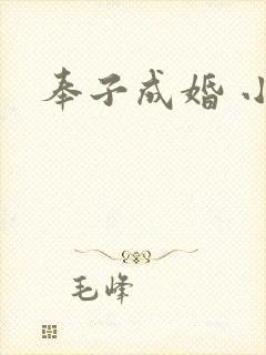 奉子成婚 小说