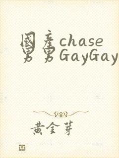 国产chase男男GayGay