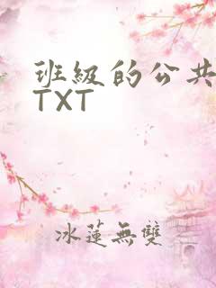 班级的公共玩具TXT