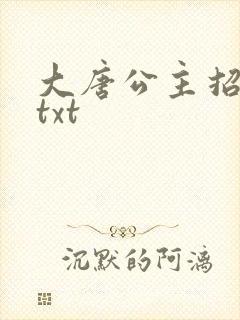 大唐公主招亲记txt