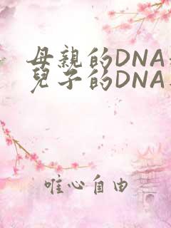 母亲的DNA和儿子的DNA是一样的吗