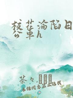 校花沦陷日记h公车h