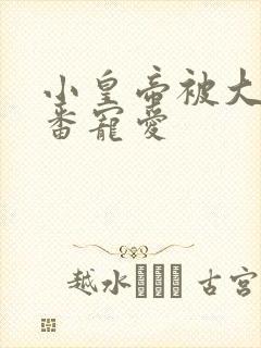 小皇帝被大臣轮番宠爱