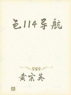 色114导航