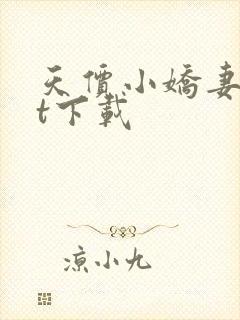 天价小娇妻txt下载