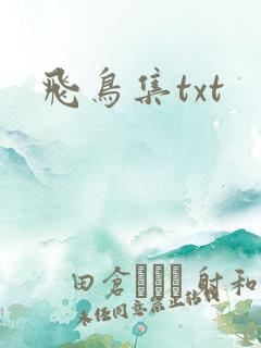 飞鸟集txt