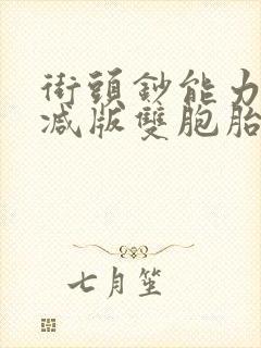 街头钞能力无删减版双胞胎