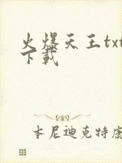 火爆天王txt下载