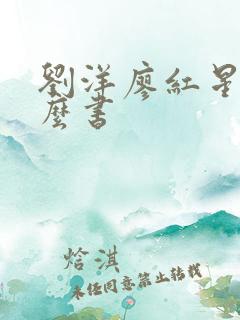 刘洋廖红星是什么书