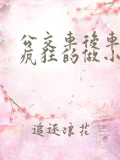 公交车后车座的疯狂的做小