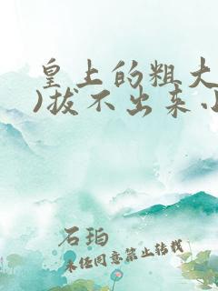 皇上的粗大(h)拔不出来小说