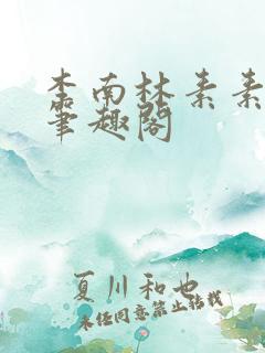 李南林素素小说笔趣阁