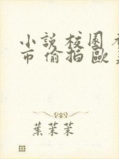 小说 校园 都市 偷拍 欧美