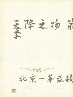 天降之物 第一季