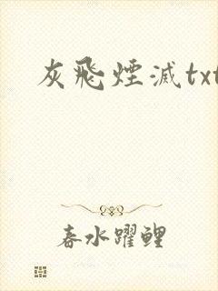 灰飞烟灭txt