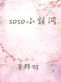 soso小说网