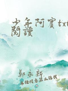 少年阿宾txt阅读