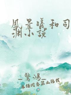 凤晨曦和司鸿颜渊小说