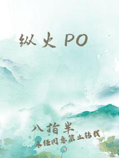 纵火 PO