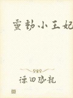 灵动小王妃