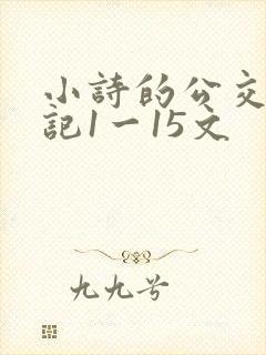 小诗的公交车日记1一15文