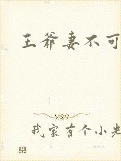 王爷妻不可欺