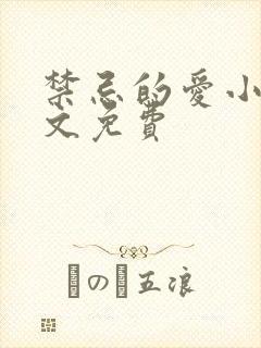 禁忌的爱小说全文免费