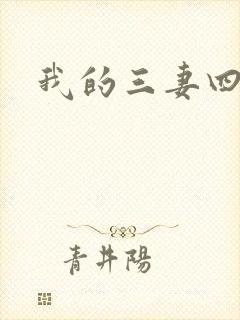 我的三妻四妾