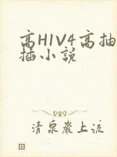 高H1V4高抽插小说