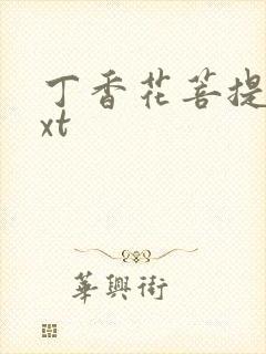 丁香花菩提树txt