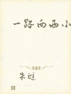 一路向西小说