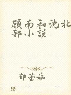 顾南和沈北是哪部小说