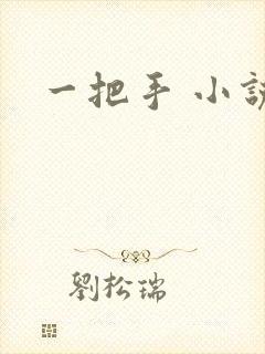 一把手 小说