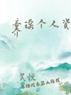 童瑶个人资料简介