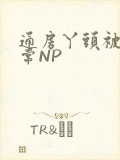 通房丫头被肉日常NP