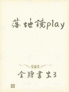 落地镜play