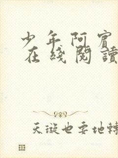少 年 阿 宾 在 线 阅 读
