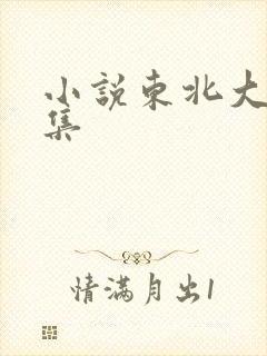 小说东北大炕全集