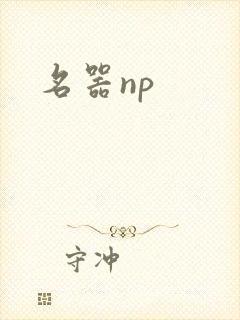 名器np