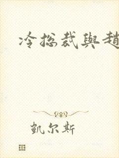 冷总裁与赵大牌