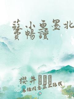 苏小鱼墨北枭免费畅读