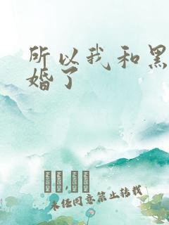 所以我和黑粉结婚了