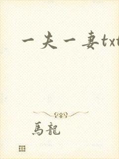 一夫一妻txt