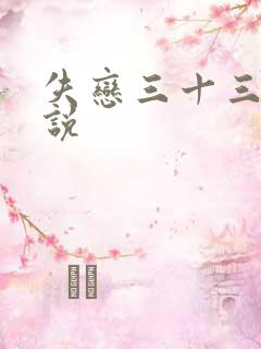 失恋三十三天小说