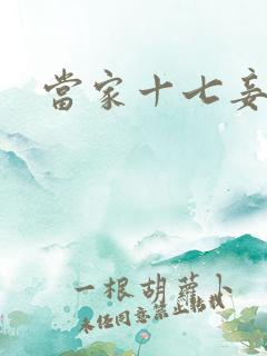 当家十七妾