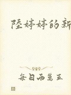 陆婷婷的新故事