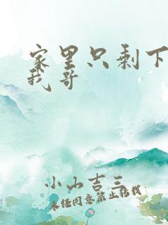 家里只剩下我和我哥