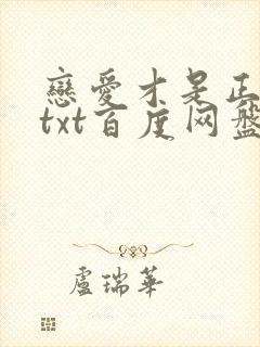 恋爱才是正经事txt百度网盘