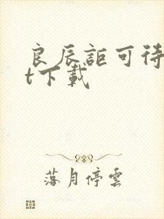 良辰讵可待txt下载