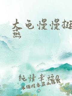 大龟慢慢挺进张燕